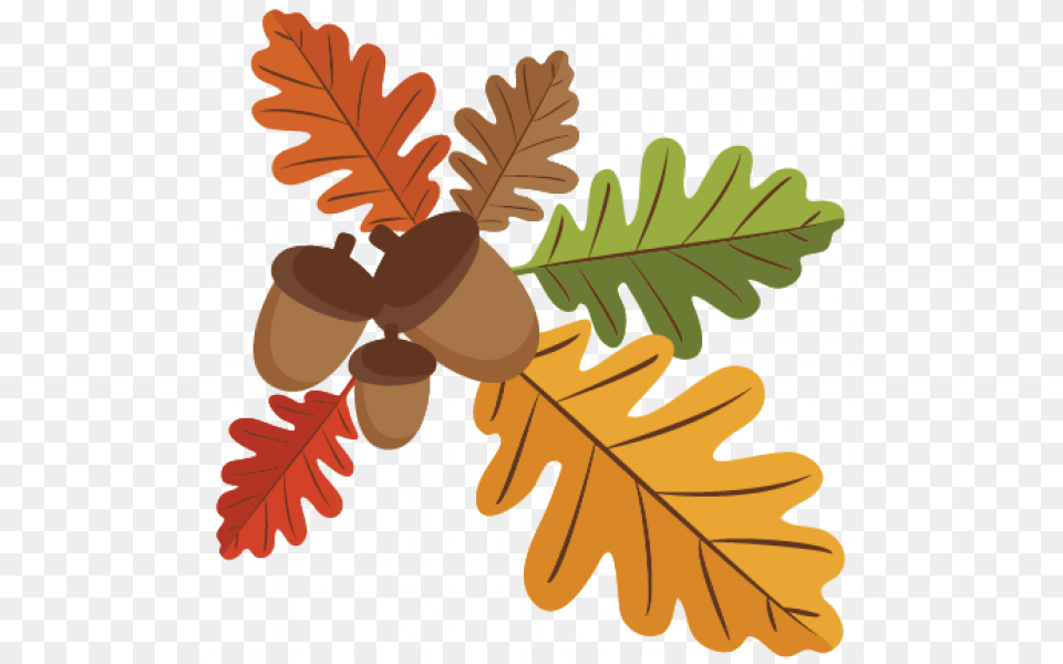 Acorn And Leaves Clipart, Food, Grain, Nut, Plant Png