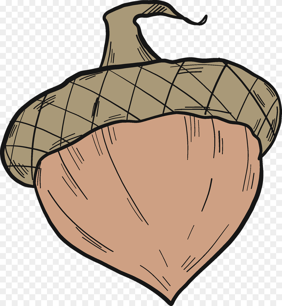 Acorn Clipart, Vegetable, Produce, Plant, Nut Free Png