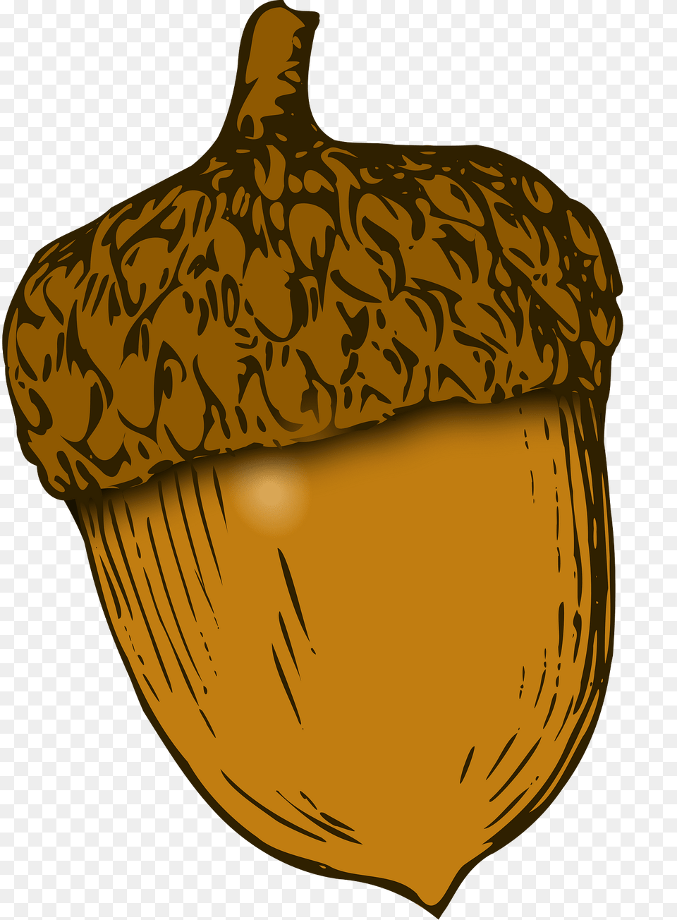 Acorn Clipart, Food, Grain, Nut, Plant Png