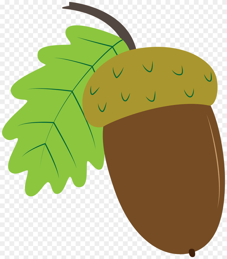 Acorn Clipart, Food, Grain, Nut, Plant Free Png Download