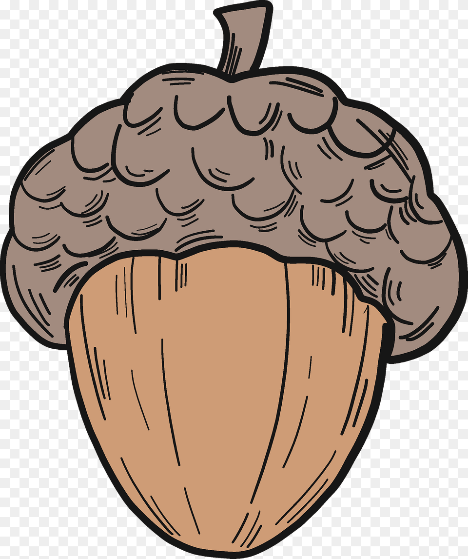 Acorn Clipart, Vegetable, Produce, Plant, Nut Free Png