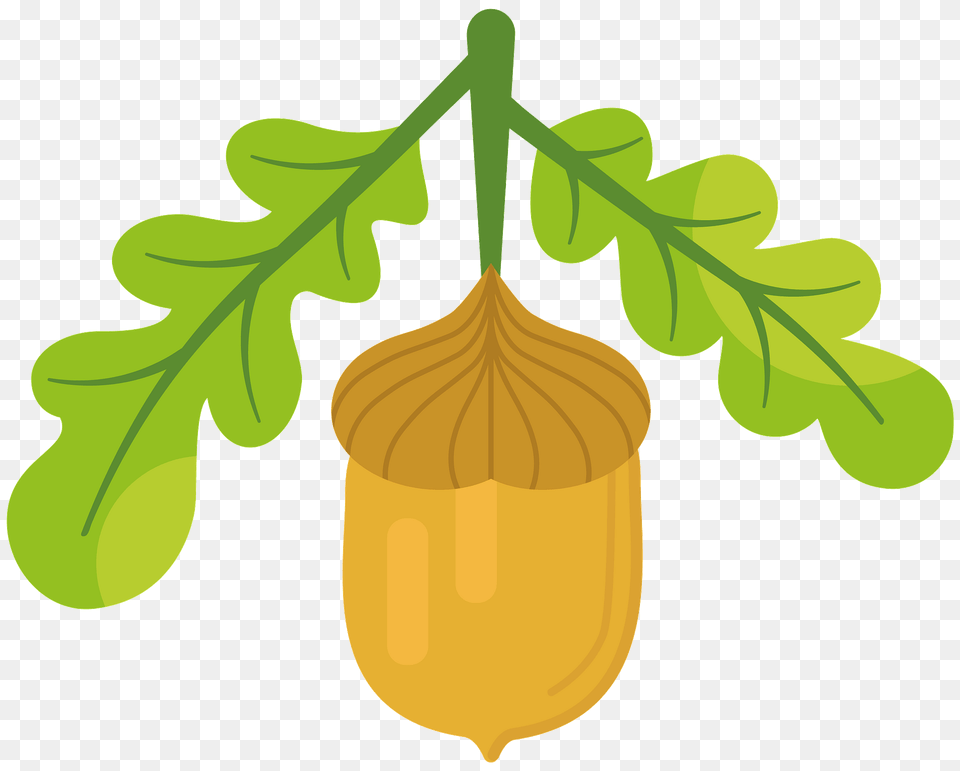 Acorn Clipart, Food, Grain, Nut, Plant Free Png Download