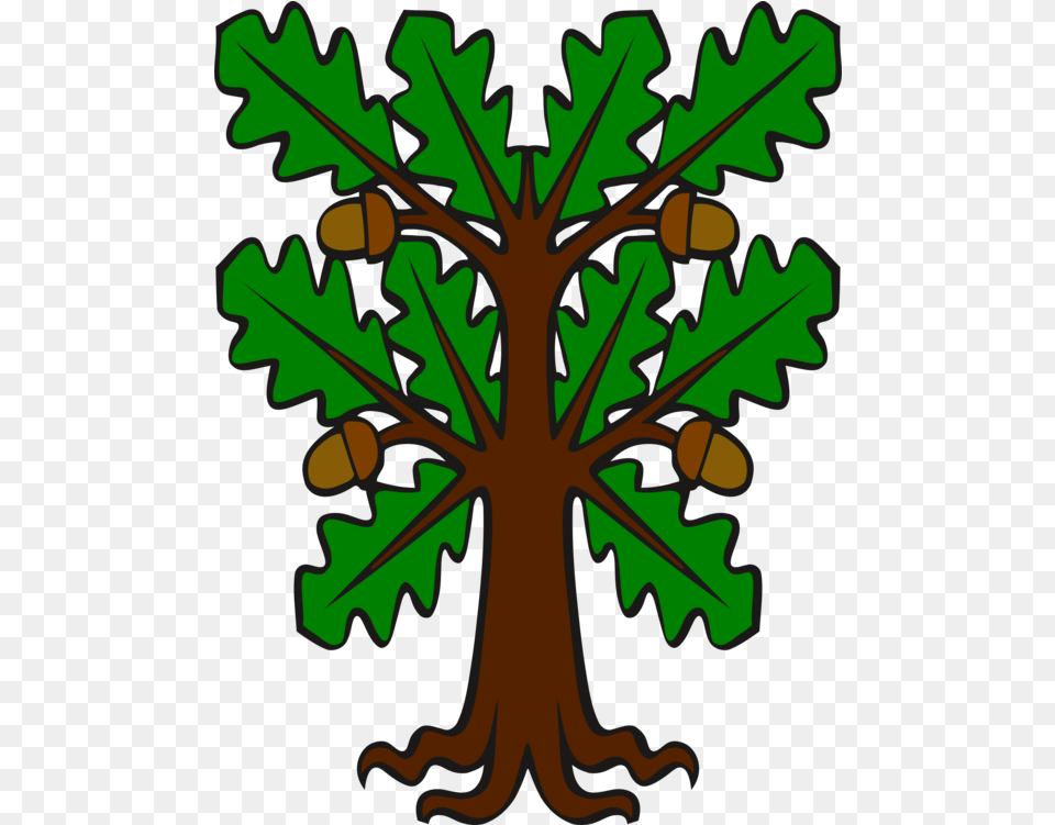 Acorn Clipart Acorn Leaf English Oak White Oak Oak Clip Art Tree, Plant, Produce, Food, Nut Png