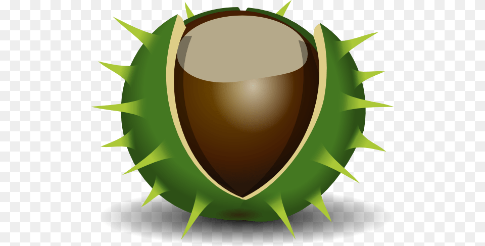 Acorn Clipart Conker, Food, Produce, Animal, Shark Free Transparent Png