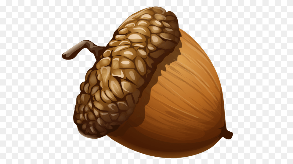 Acorn Clipart Nice Clip Art, Food, Grain, Nut, Plant Free Png Download