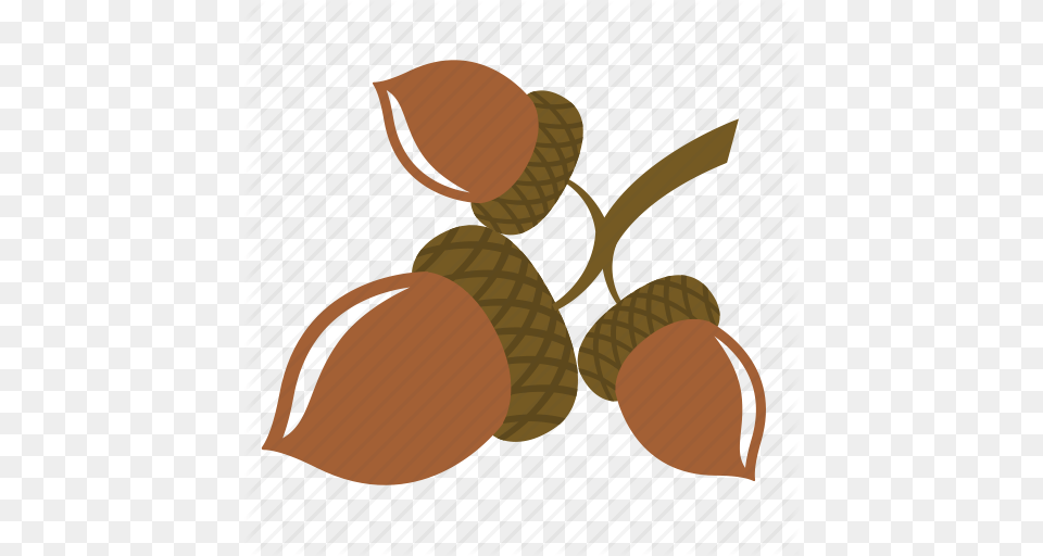 Acorn Clipart Nut Seed, Food, Grain, Plant, Produce Png Image