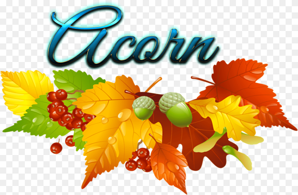Acorn Fall Leaf Clipart, Food, Nut, Plant, Produce Free Transparent Png