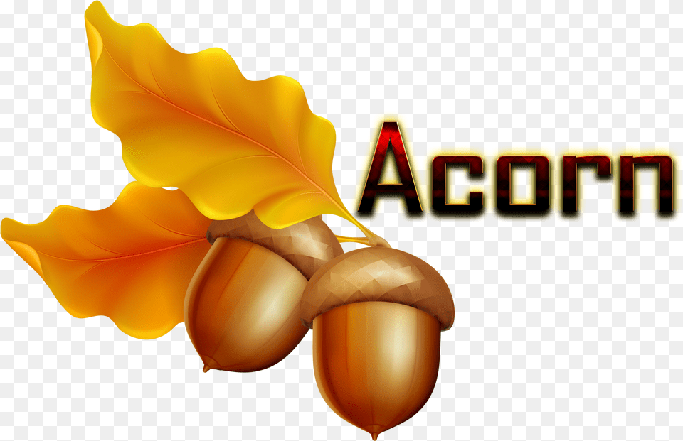 Acorn Hd, Vegetable, Food, Nut, Produce Png