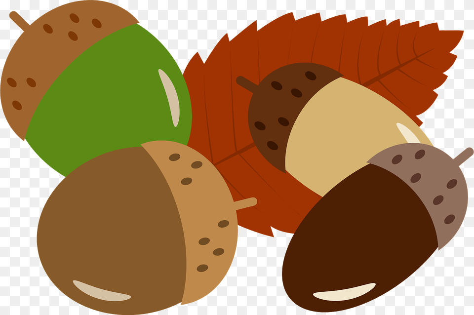 Acorns And Fallen Leaf Clipart, Vegetable, Produce, Plant, Nut Free Png