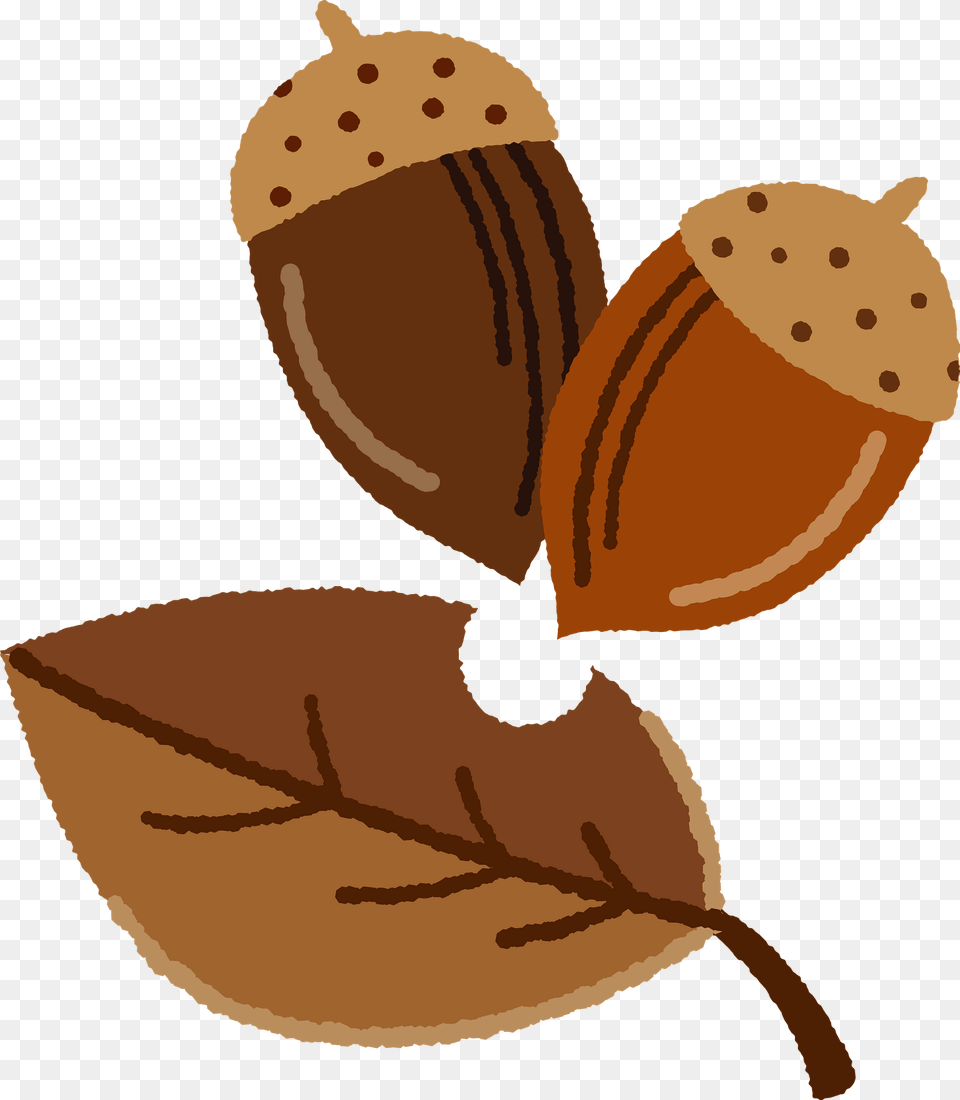 Acorns And Fallen Leaf Clipart, Nut, Vegetable, Food, Grain Png Image