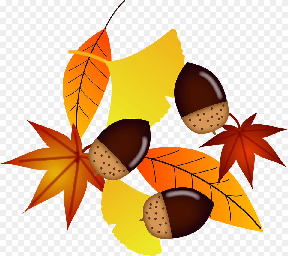 Acorns And Fallen Leaves Clipart, Vegetable, Produce, Plant, Nut Png