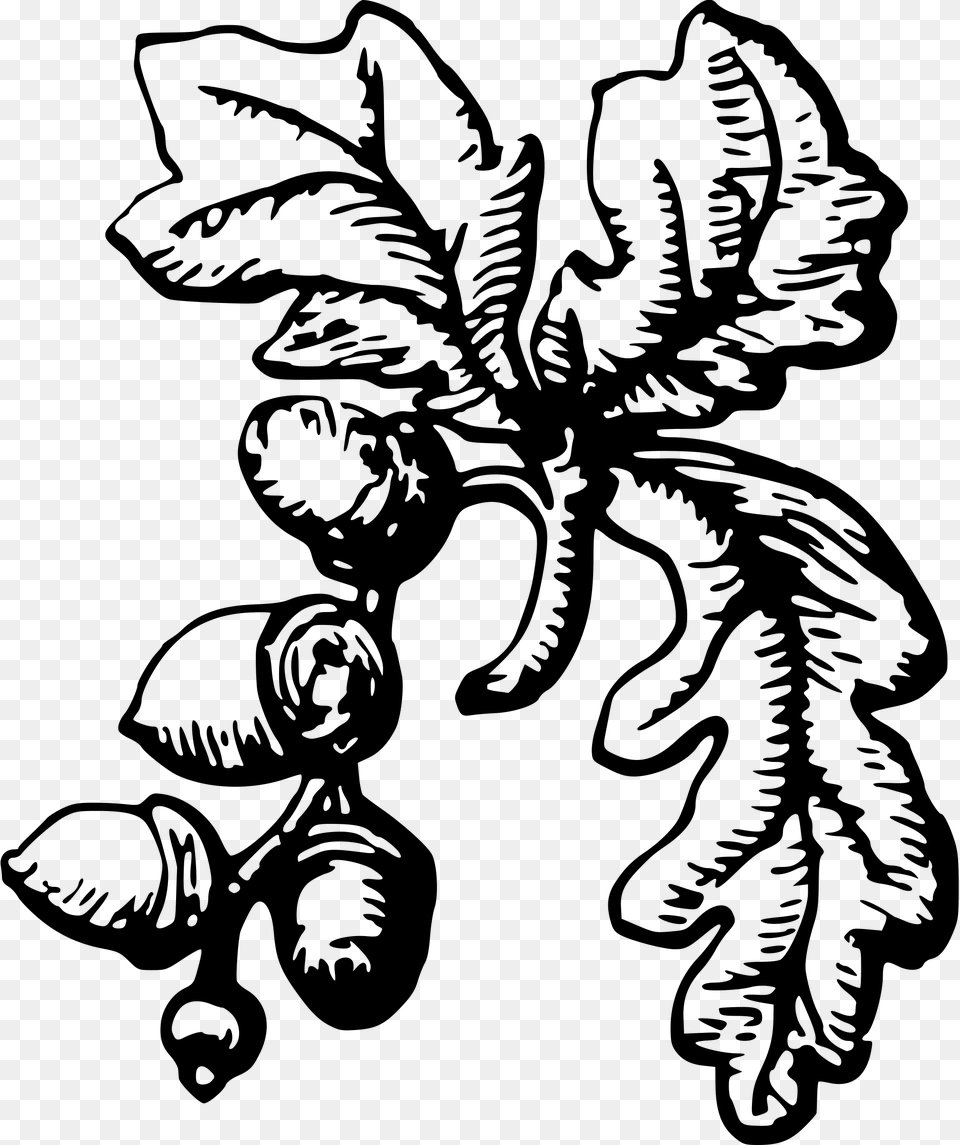 Acorns Clipart Black And White, Gray Free Transparent Png
