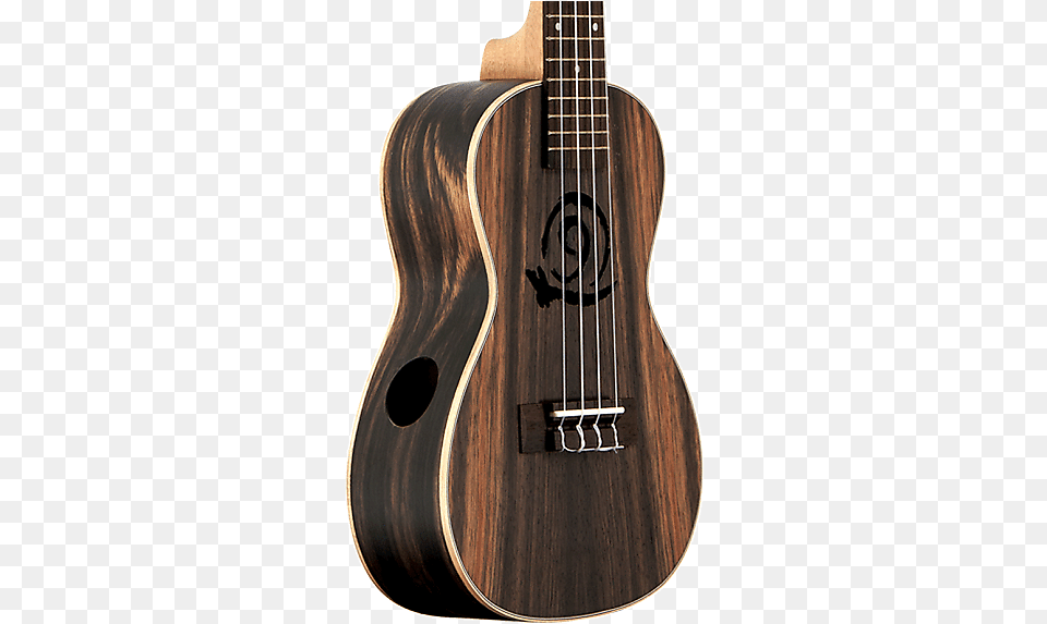 Acoustic Guitar, Bass Guitar, Musical Instrument Free Png