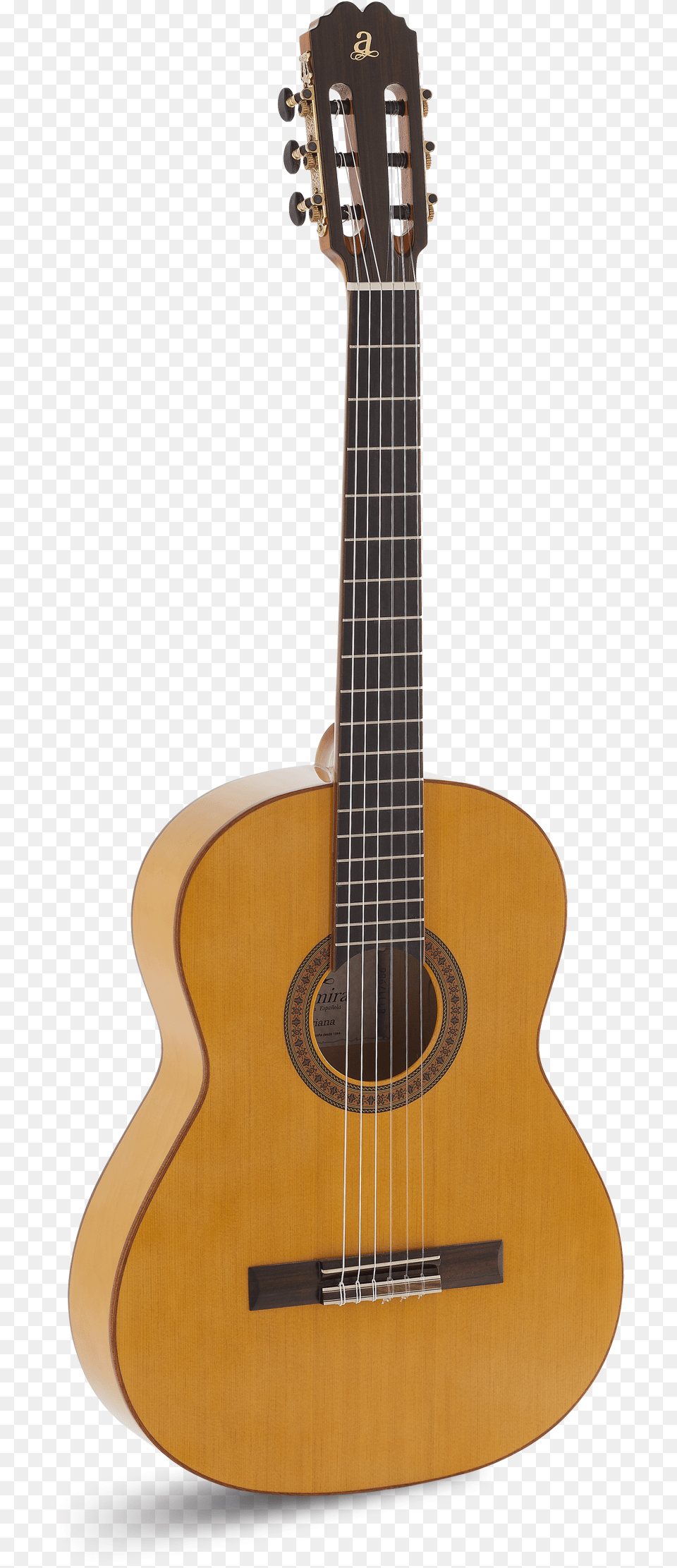 Acoustic Guitar, Musical Instrument, Bass Guitar Png Image