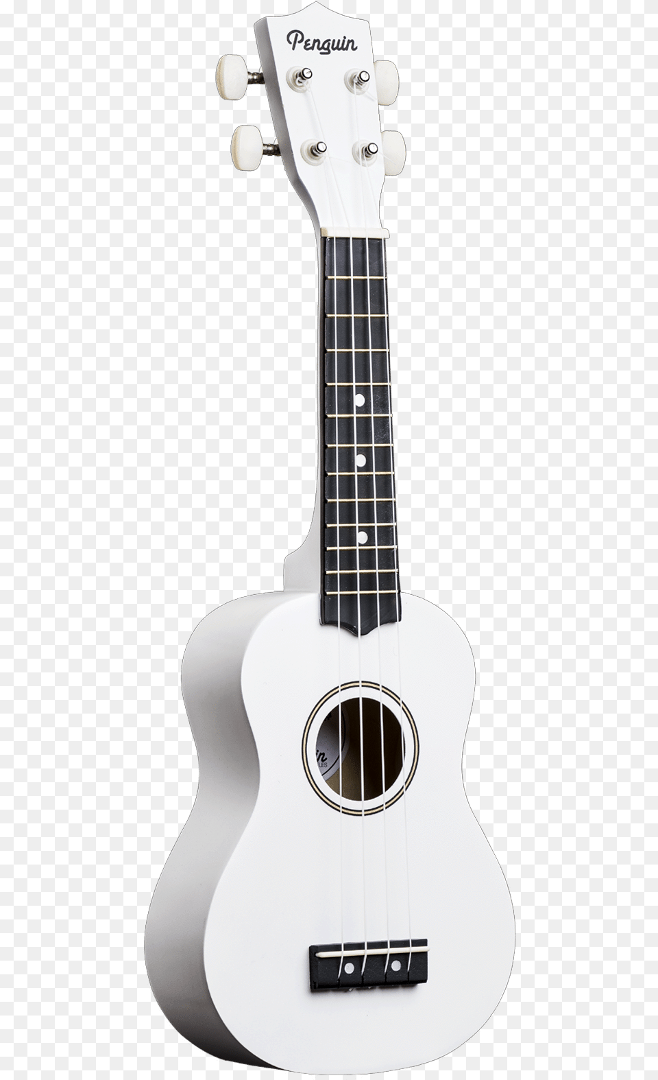 Acoustic Guitar, Bass Guitar, Musical Instrument Free Png