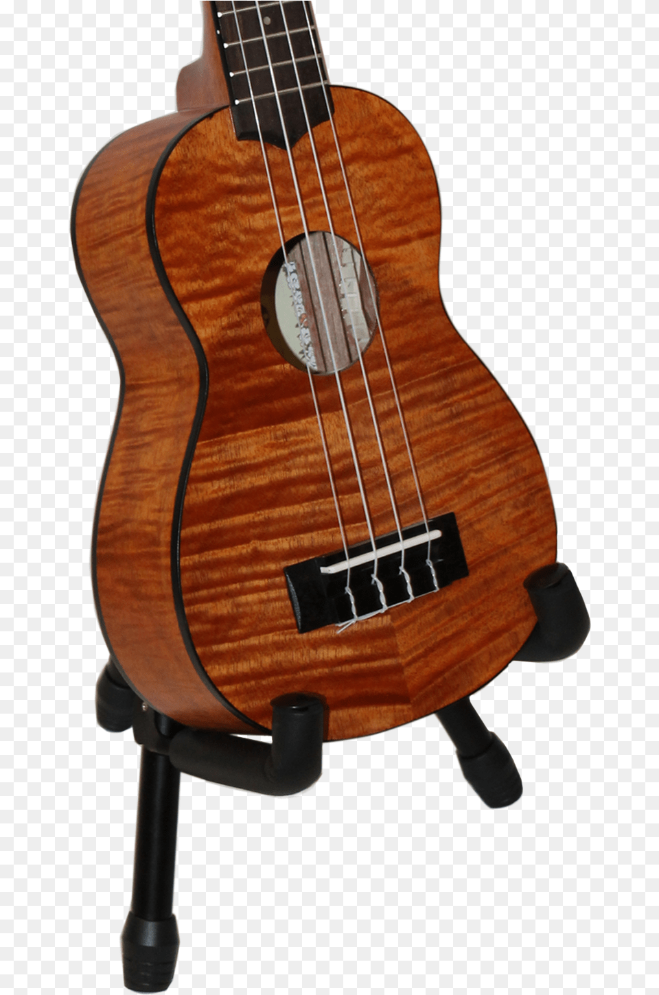 Acoustic Guitar, Bass Guitar, Musical Instrument Free Png Download