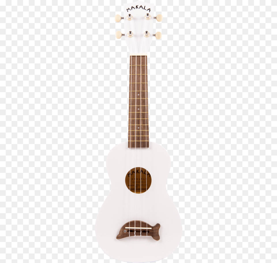 Acoustic Guitar, Bass Guitar, Musical Instrument Png
