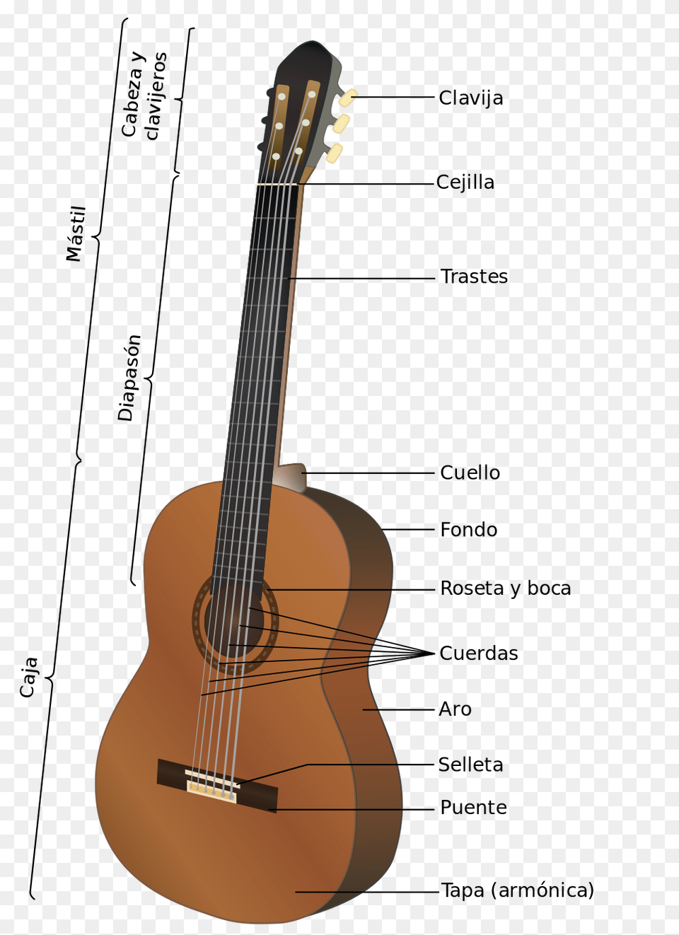 Acoustic Guitar Es, Musical Instrument, Bass Guitar Png Image
