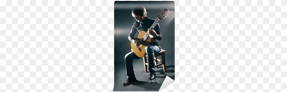 Acoustic Guitar Guitarist Player Wall Mural Pixers Guitar, Musical Instrument, Adult, Performer, Musician Png