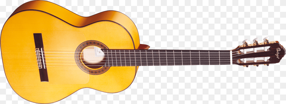 Acoustic Guitar Image, Musical Instrument, Bass Guitar Free Png Download