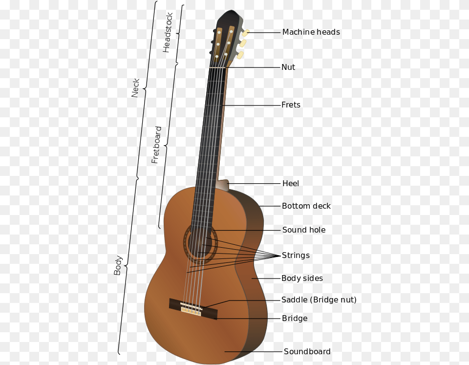 Acoustic Guitar Parts Guitar Parts In French, Musical Instrument, Bass Guitar Free Transparent Png