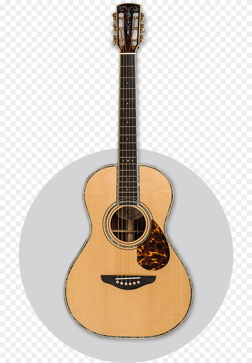 Acoustic Web Button, Guitar, Musical Instrument Free Transparent Png