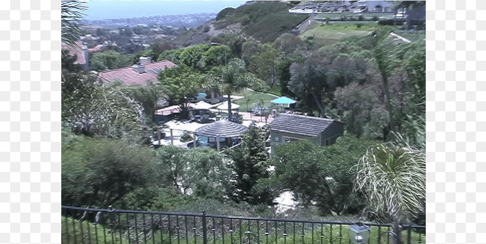 Acre Resort Home With Ocean View Pool Waterfall Tree, Architecture, Building, Outdoors, Plant Free Png Download