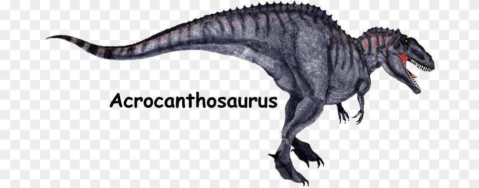 Acrocanthosaurus Color Tyrannosaurus, Animal, Dinosaur, Reptile, T-rex Free Png