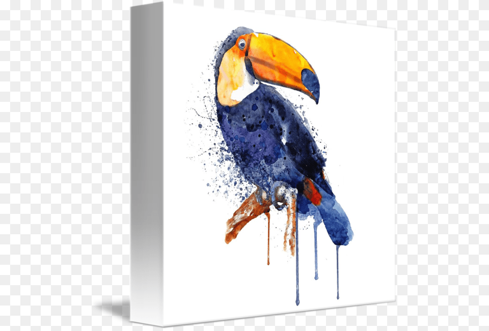 Acrylic Acrylic Print Toucan Painting, Animal, Beak, Bird Free Png
