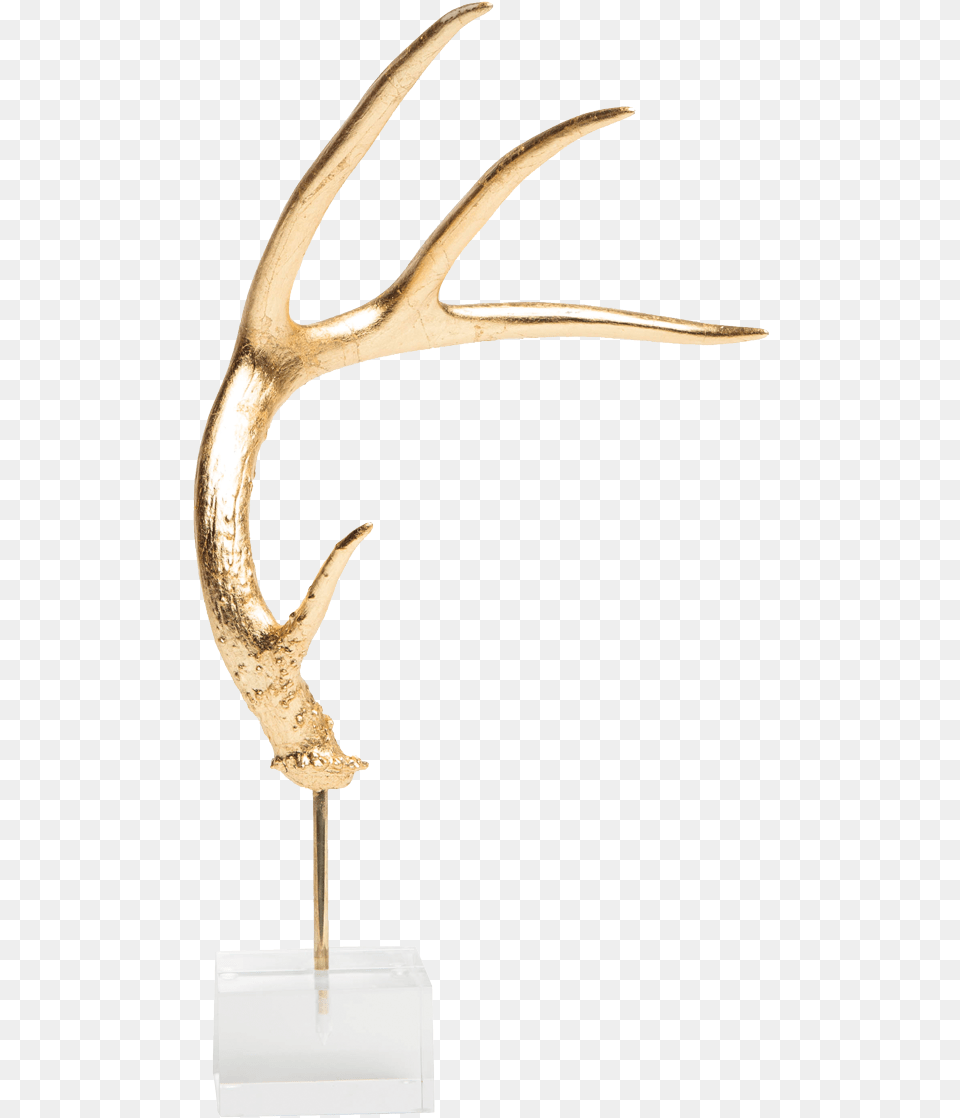 Acrylic Antler Mount Wood Free Transparent Png