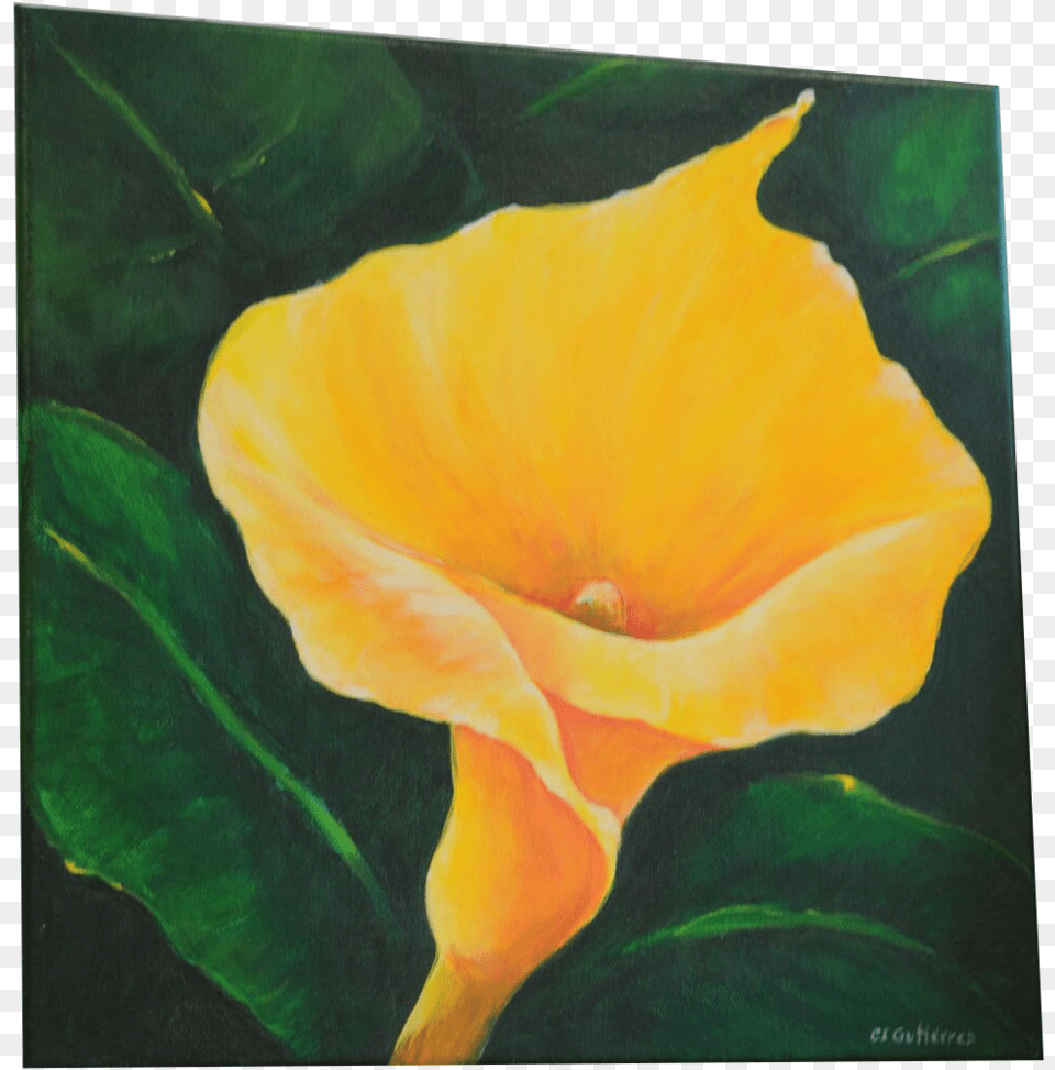 Acrylic On Canvas Eschscholzia Californica, Flower, Petal, Plant, Rose Free Transparent Png
