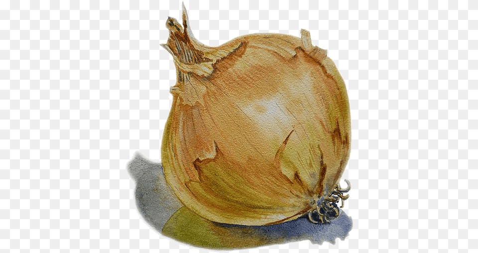 Acrylic Painting Of Onion, Food, Produce, Plant, Vegetable Free Png Download