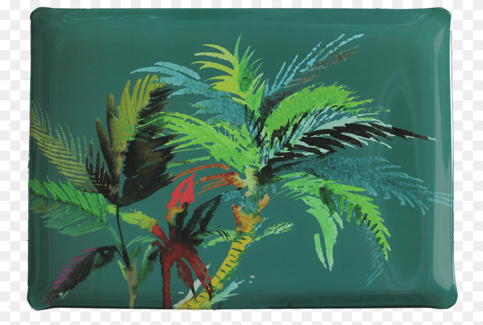 Acrylic Serving Tray Gien Jardins Extraordinaires Large Acrylic Tray, Plant, Leaf, Vegetation, Fern Free Png