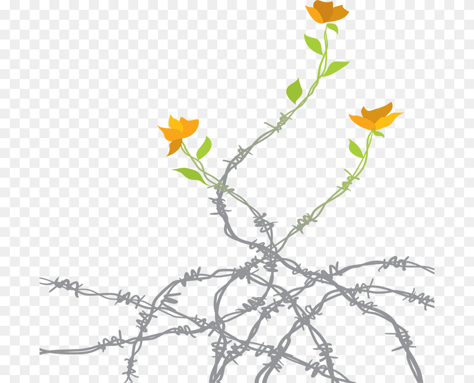 Act Human Rights Film Festival Logo Field Marigold, Wire, Barbed Wire, Leaf, Plant Free Png Download