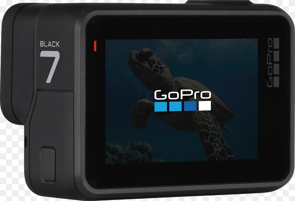 Action Cam Gopro Hero7 Black Gopro Chdhx 701 Rw Gopro Hero 7 Black, Electronics, Animal, Dinosaur, Reptile Free Png