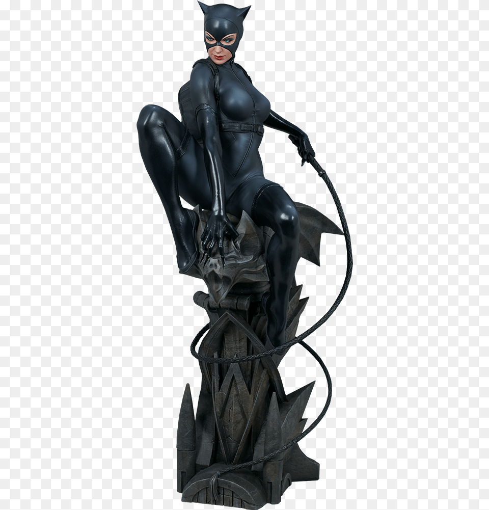 Action Figure Catwoman, Adult, Male, Man, Person Free Png Download