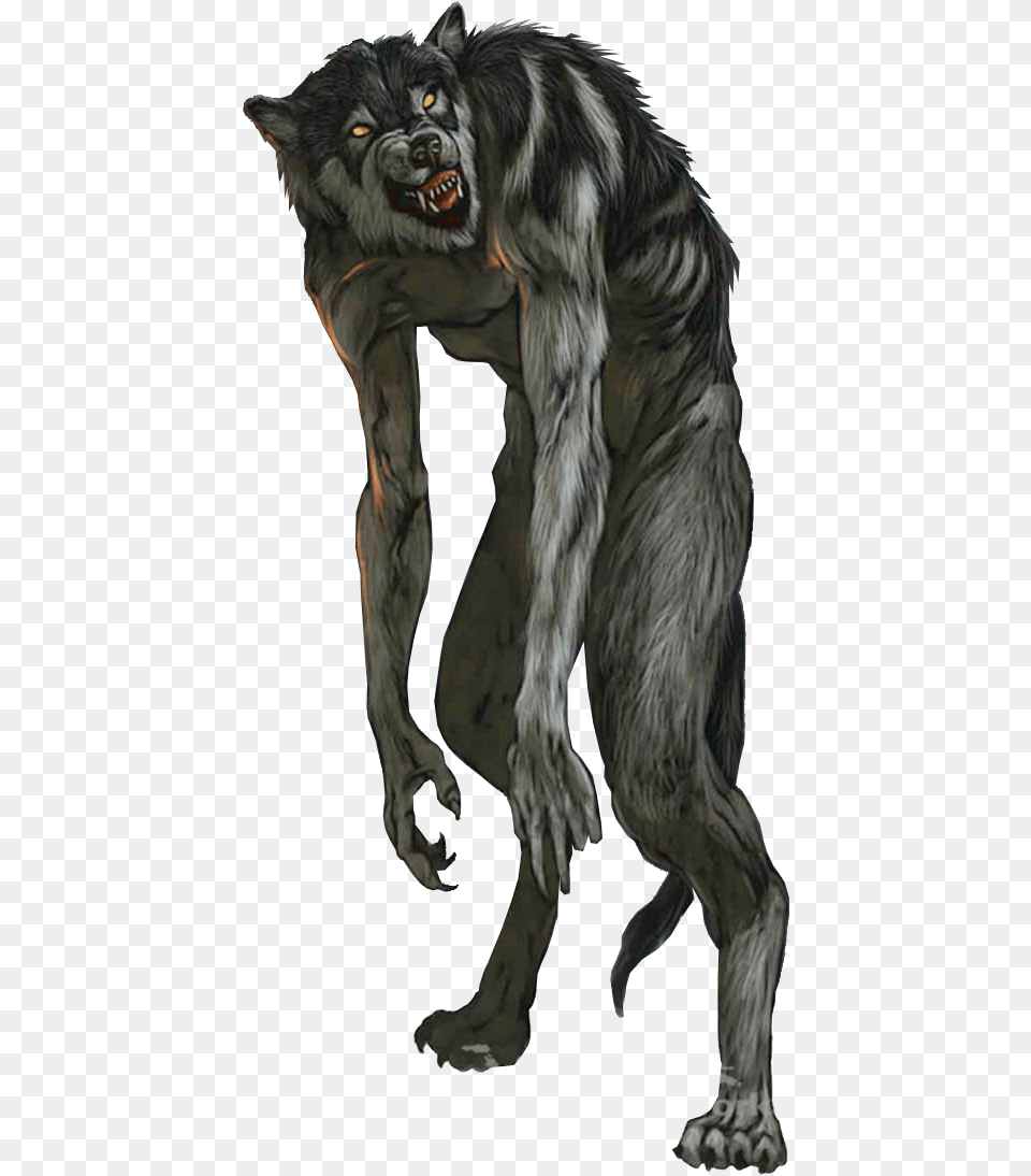 Action Figure Demon Animal Wolf Werewolf Clip Art Werewolf, Mammal, Bear, Wildlife Free Png Download
