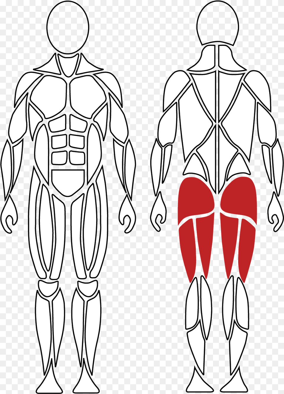 Active Muscles For Hip Extension David Health Solutions Illustration, Stencil, Adult, Male, Man Free Transparent Png