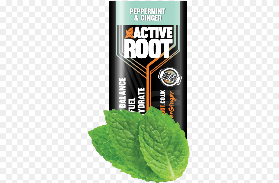 Active Root Drink, Herbs, Mint, Plant, Herbal Png