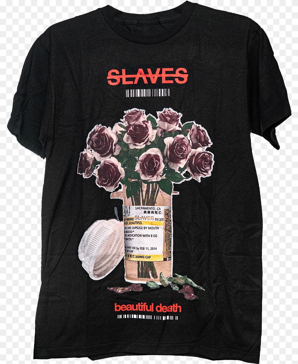 Active Shirt, T-shirt, Rose, Clothing, Plant Free Png