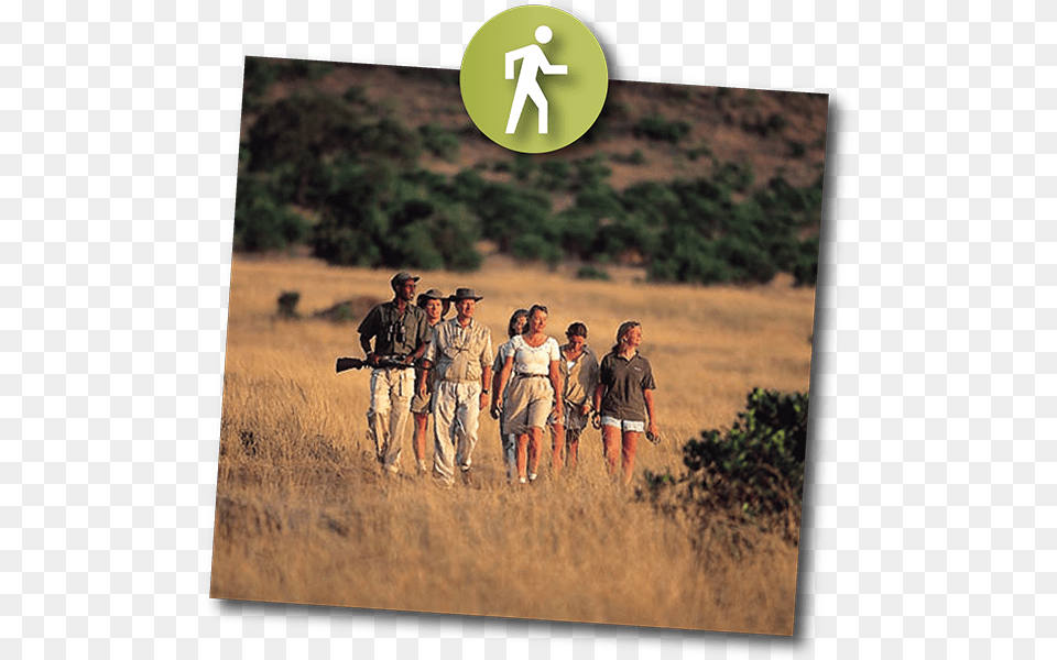 Activity Safaris Walking Safari Cross, Photography, Person, People, Hunting Png Image