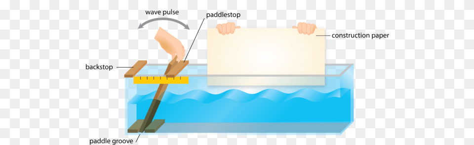 Activity Simulate Deep Water Transitional And Shallow Water, File, Adult, Female, Person Png