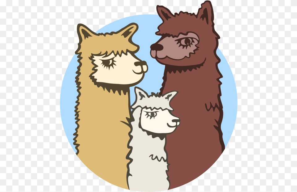 Acton Hill Alpacas Cartoon, Animal, Llama, Mammal, Cat Free Png