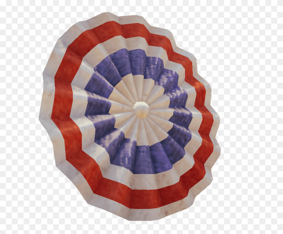 Acu Cockade Cockade, Animal, Invertebrate, Sea Life, Seashell Free Png Download