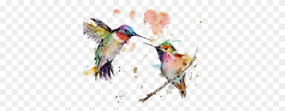 Acuarela Hummingbird Watercolor, Animal, Bird Free Transparent Png