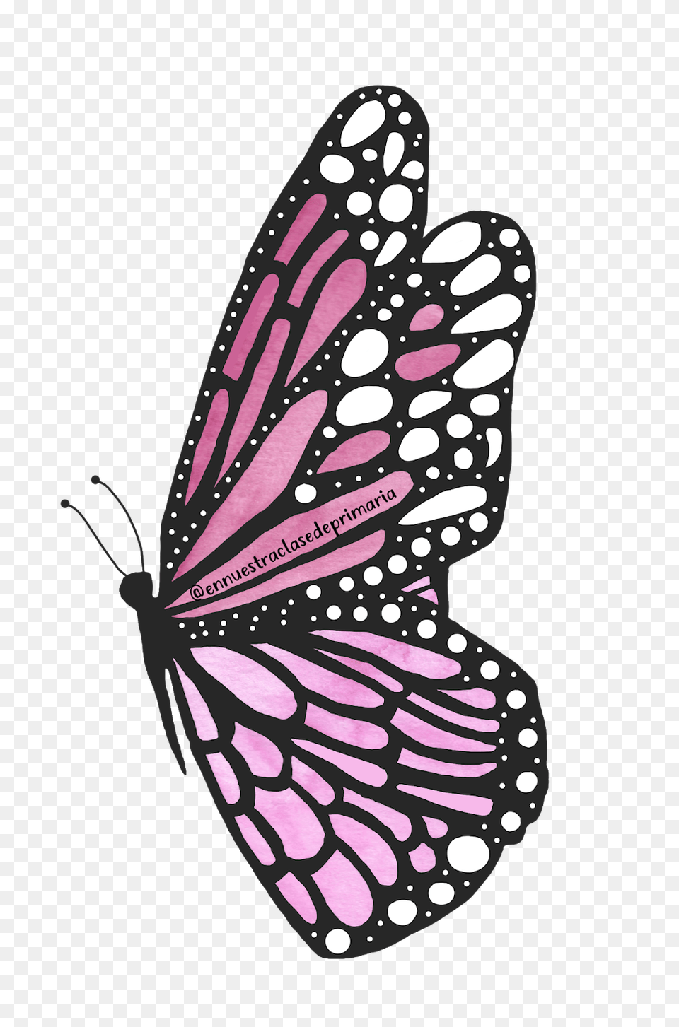 Acuarela I Girly, Animal, Butterfly, Insect, Invertebrate Png