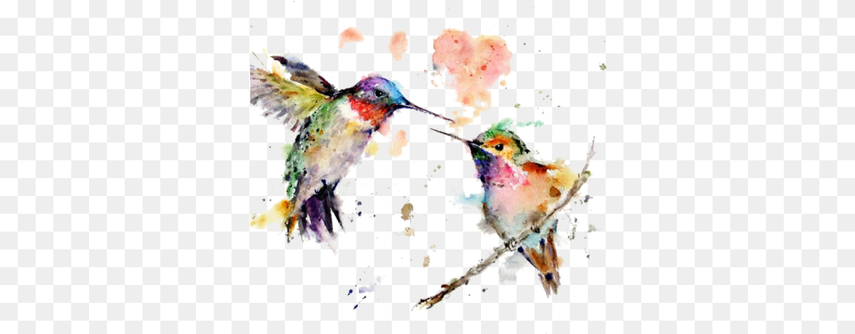 Acuarela Watercolor Wild Animals Painting, Animal, Bird, Hummingbird Png