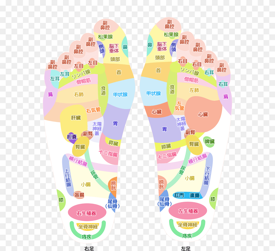 Acupuncture Feet Clipart Png Image