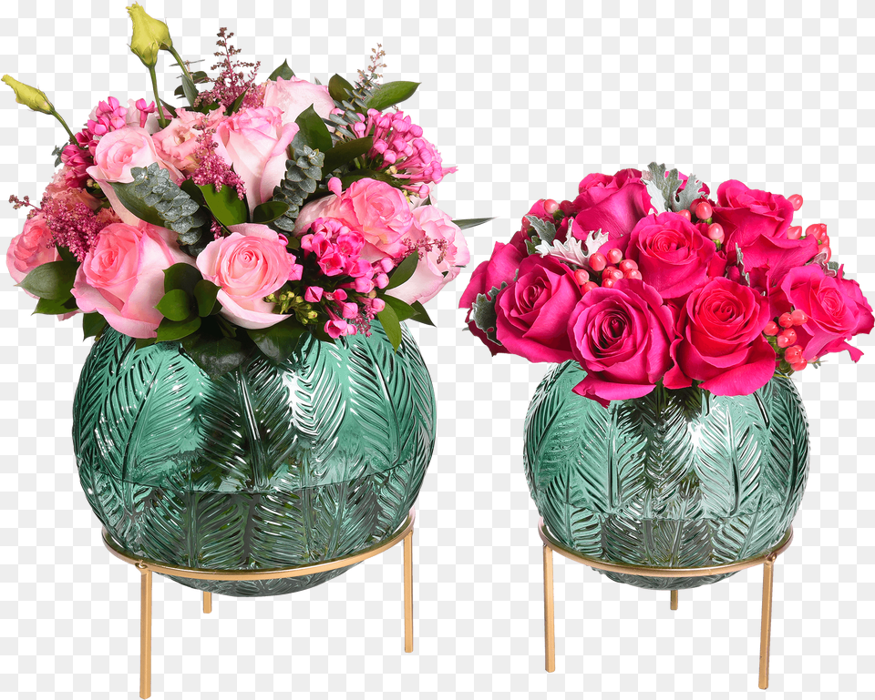 Adam Amp Eve Collection Garden Roses, Art, Plant, Pattern, Rose Png Image