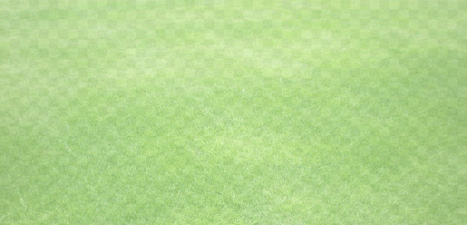 Adams Golf Clubs, Grass, Lawn, Plant Png